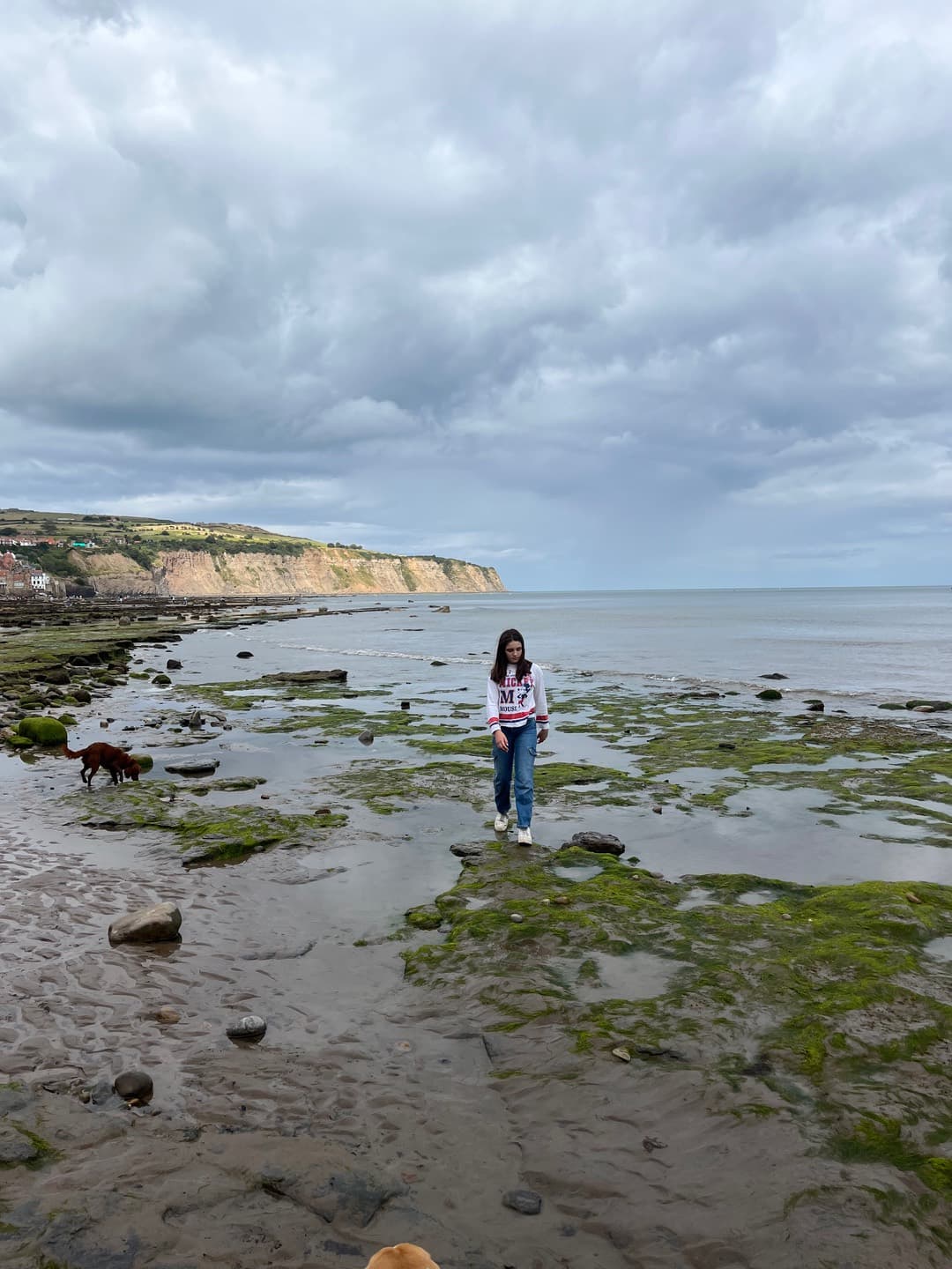 A walk across the rock pools at low tide