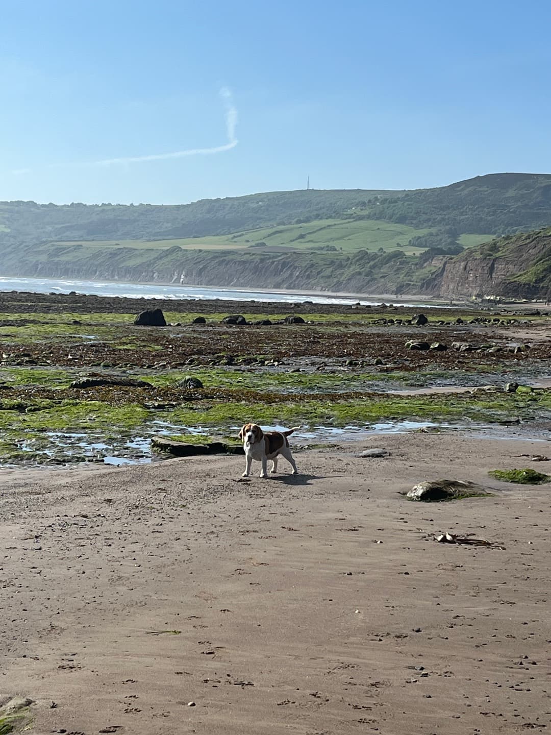 Open sand, rock pools and coastal hills