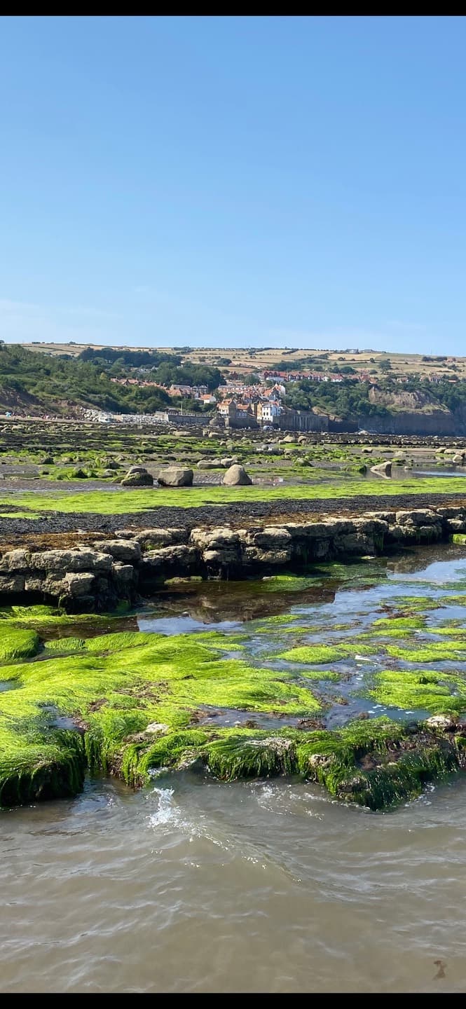 The village above green seaweed-covered rocks