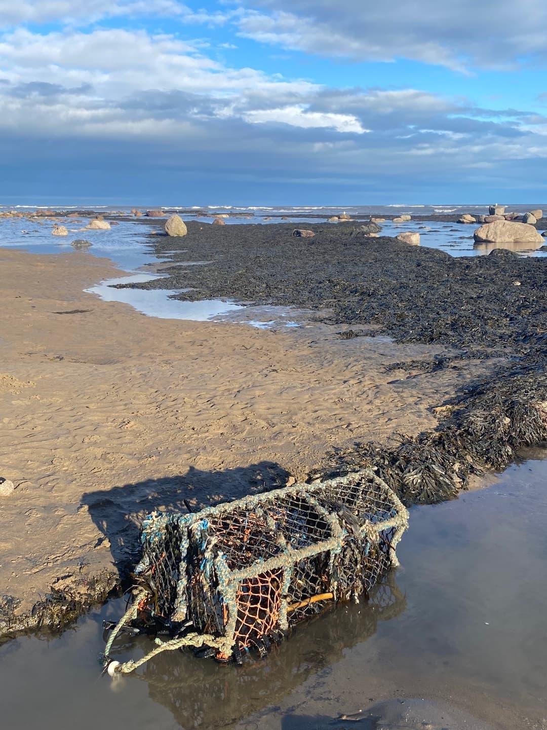 Rock shelves and tide pools on the beach